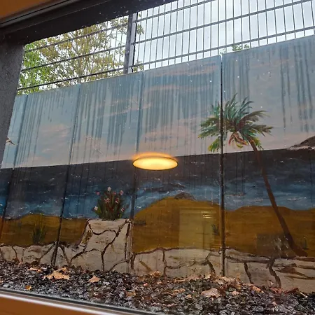 Moderne Im Norden Von *